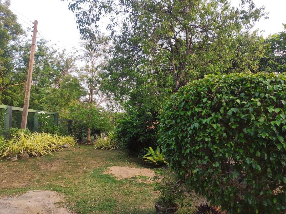 Bird House Homestays Tangalle Exteriér fotografie