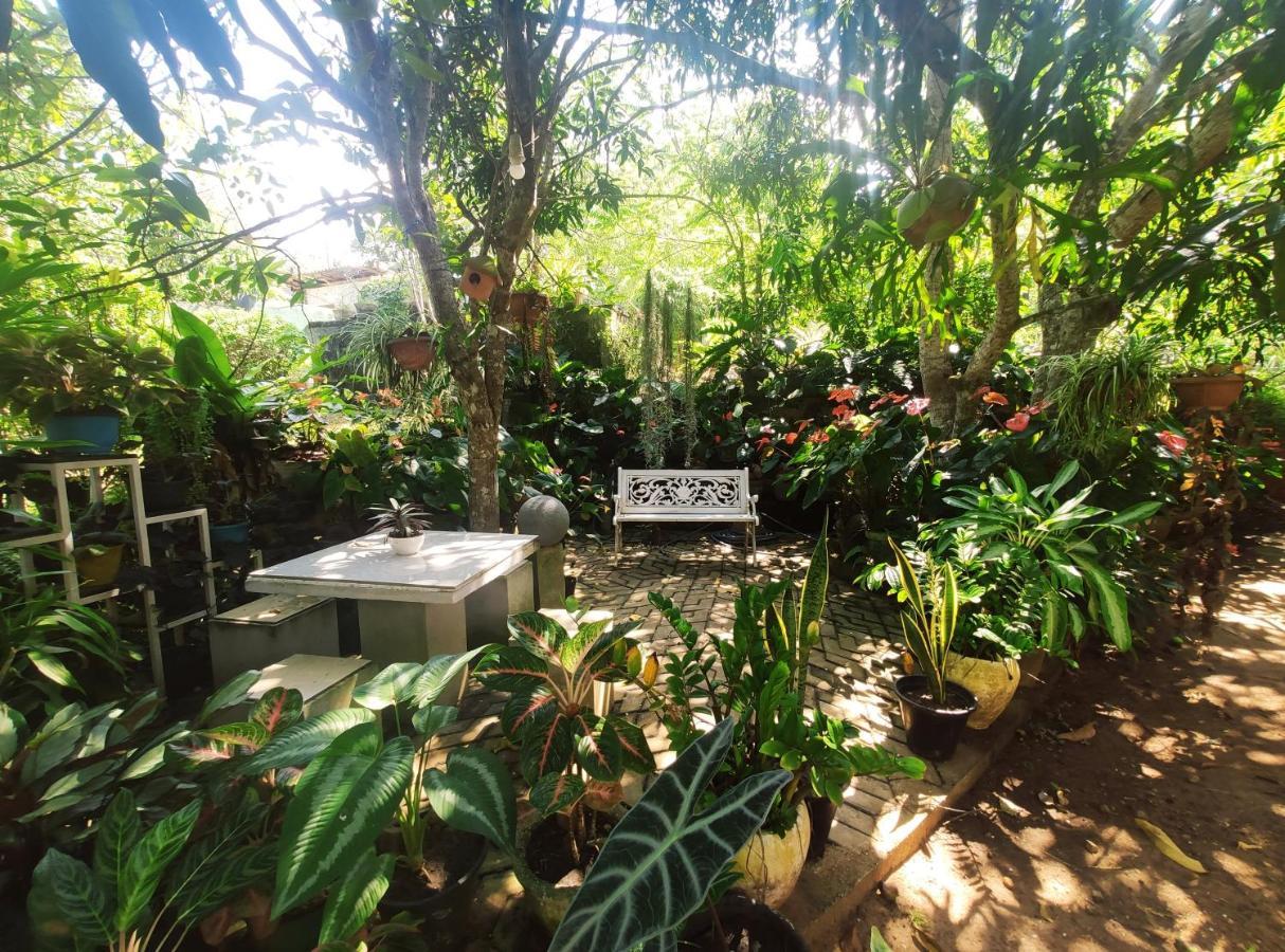 Bird House Homestays Tangalle Exteriér fotografie