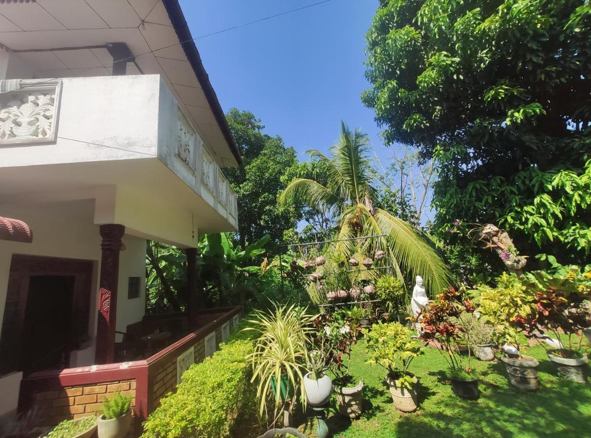 Bird House Homestays Tangalle Exteriér fotografie